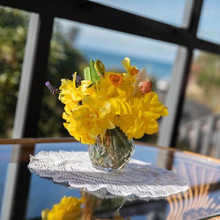 Petra Seaside Apartment ダニーデン エクステリア 写真